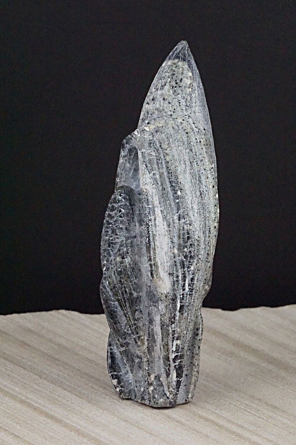 Corn Maiden Zuni Fetish Carving - Derrick Kaamasee