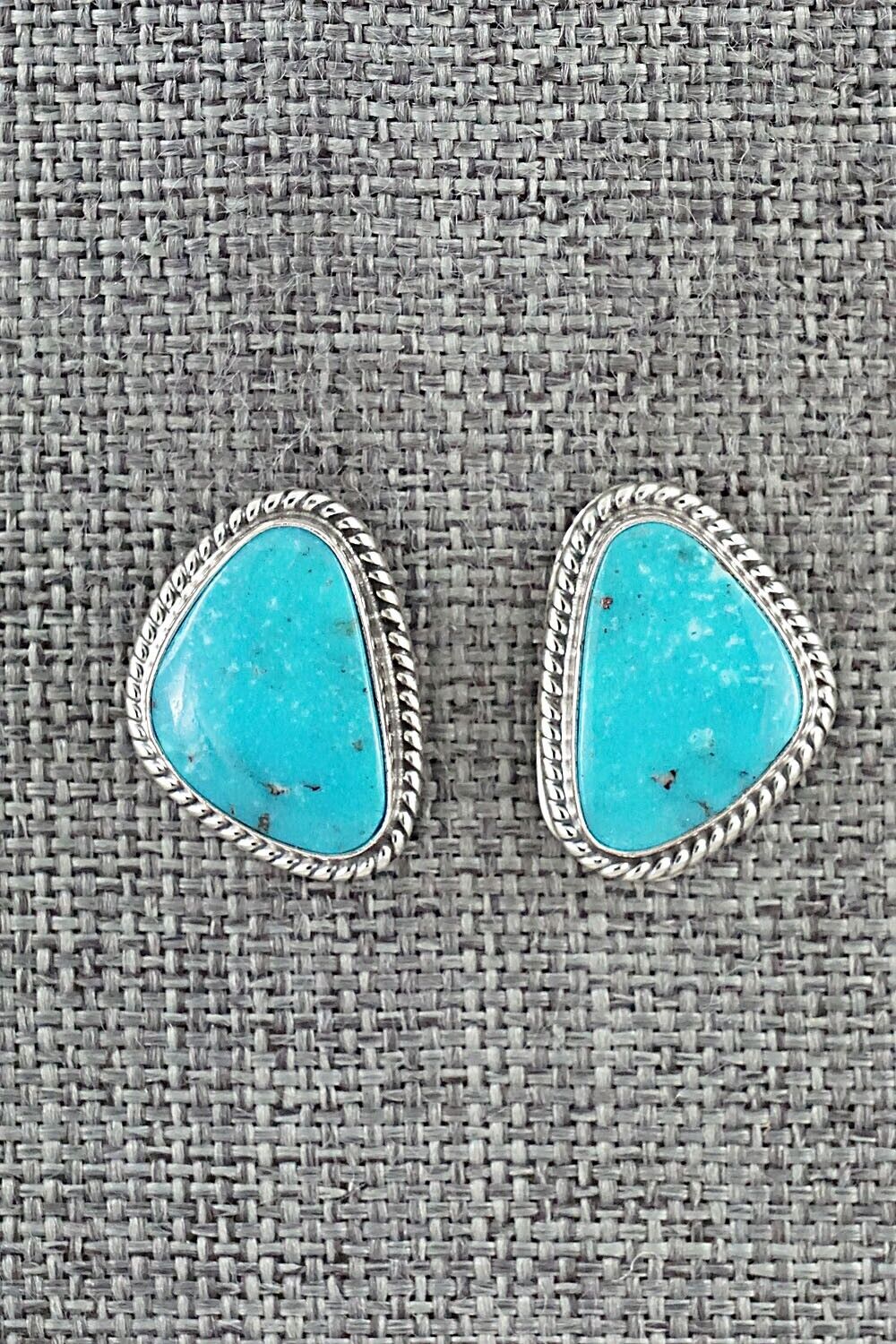 Turquoise & Sterling Silver Earrings - Sharon McCarthy