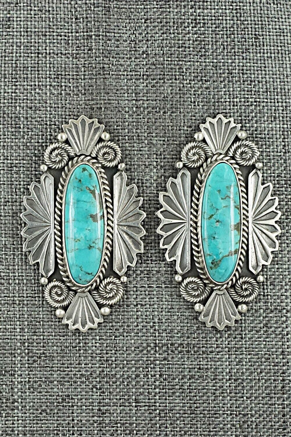Turquoise & Sterling Silver Earrings - Michael Calladitto