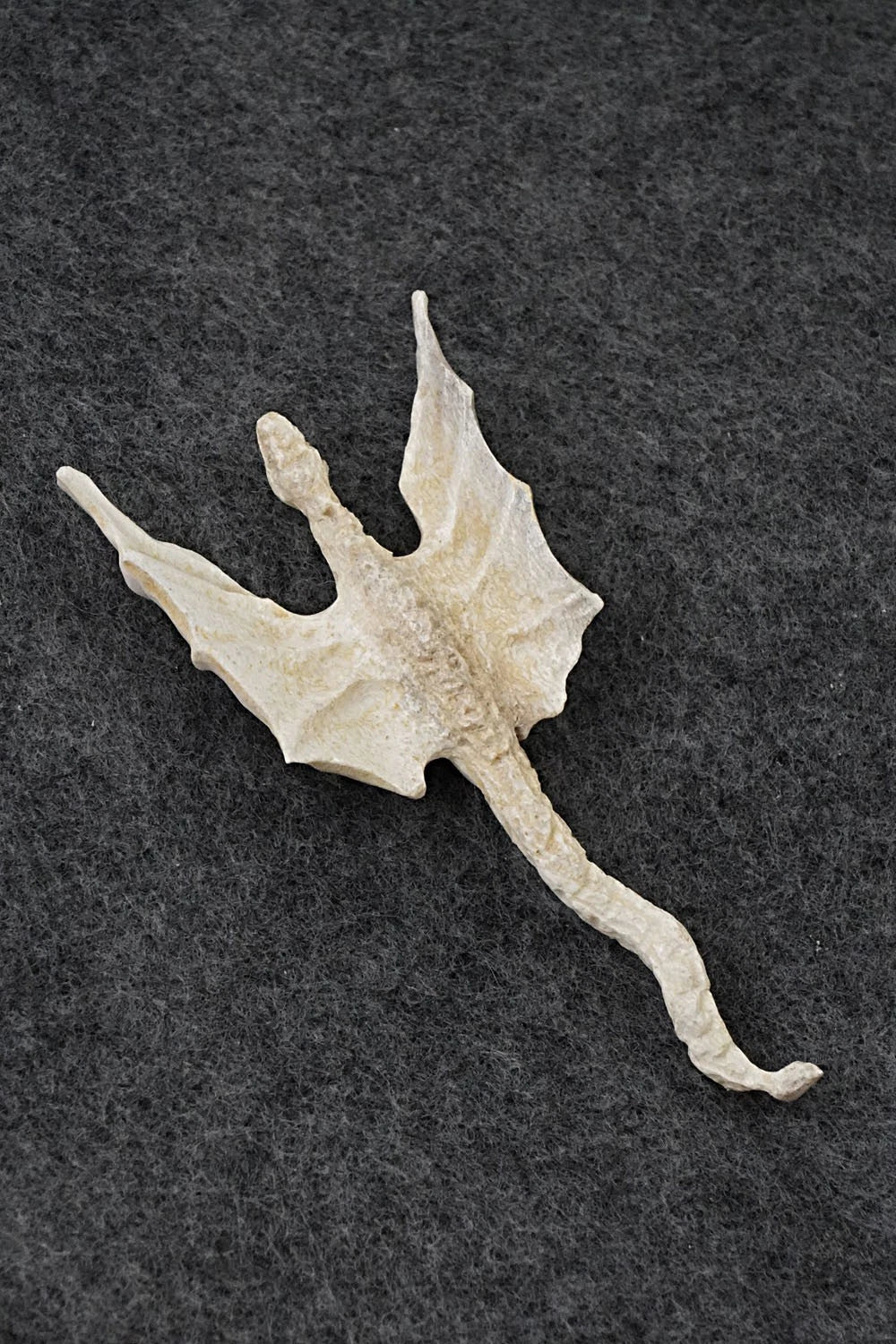 Dragon Zuni Fetish Carving - Scott Garnat