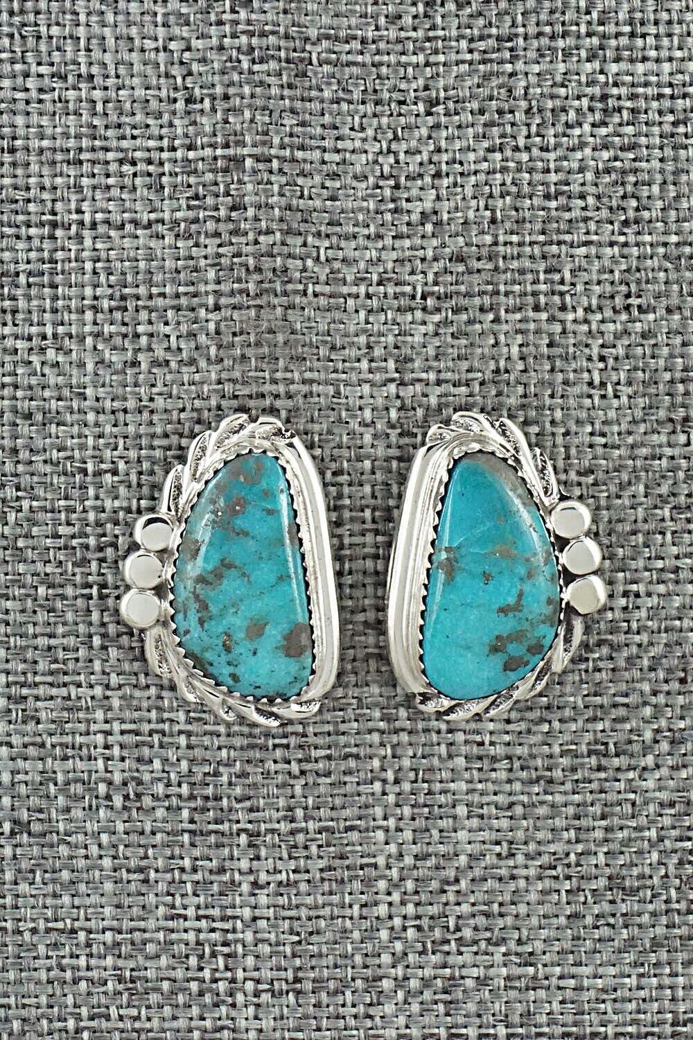 Turquoise and Sterling Silver Earrings - Delores Cadman
