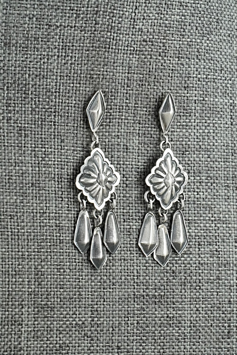 Sterling Silver Earrings - Terry Charlie
