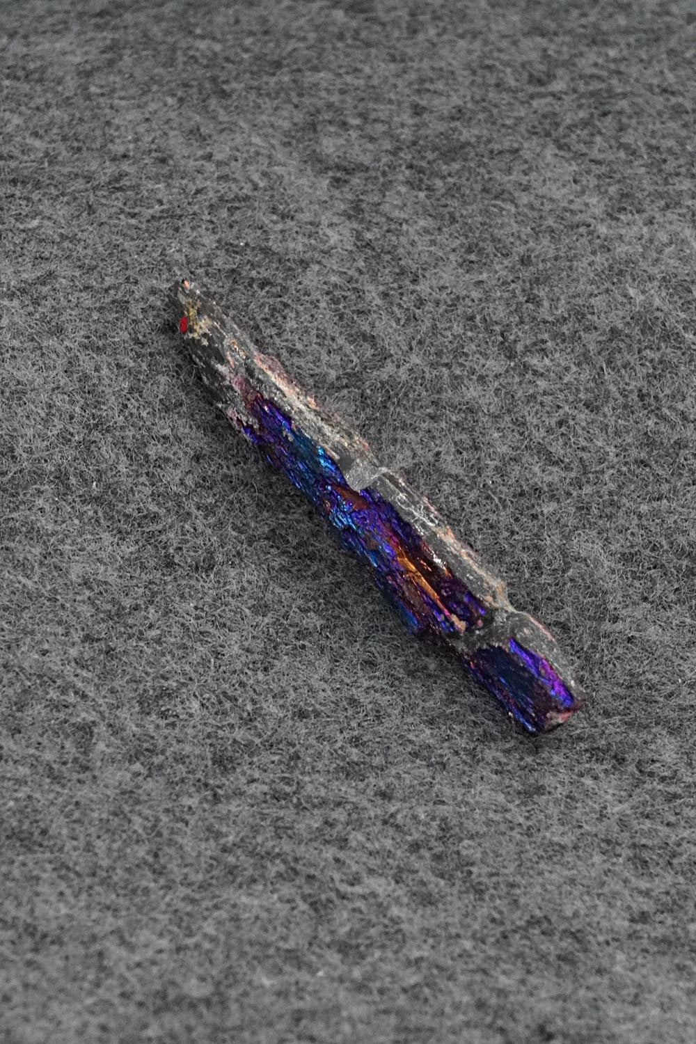 Wolf Zuni Fetish Carving - Abby Quam Panteah