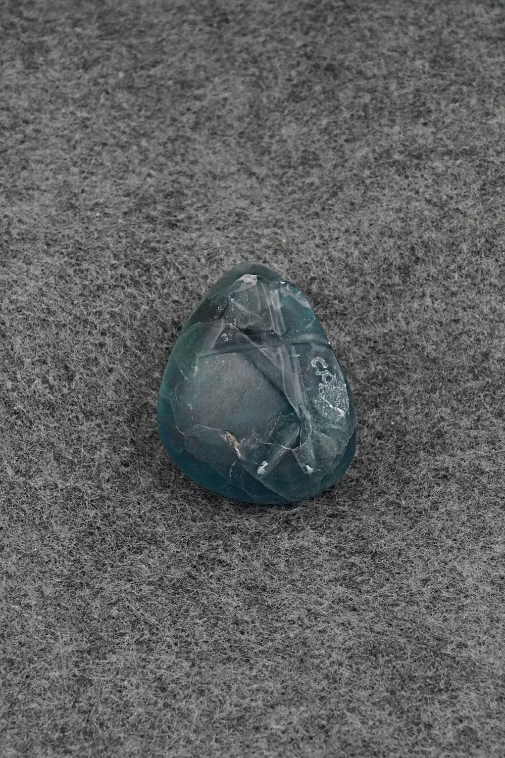 Bear Zuni Fetish Carving - Abby Quam Panteah