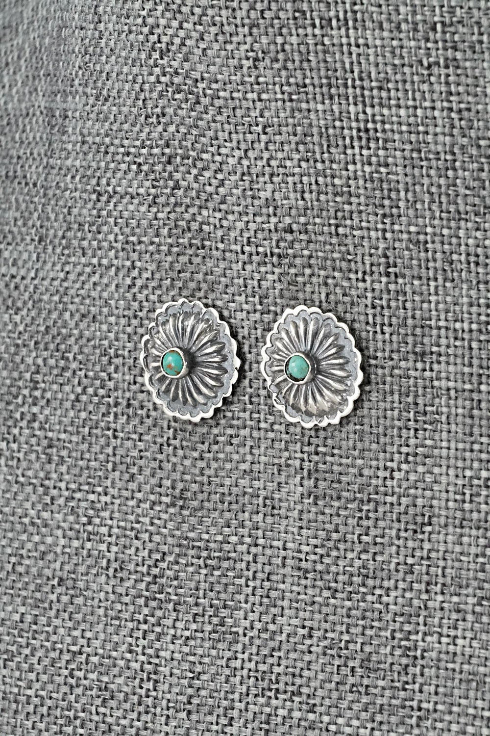Turquoise & Sterling Silver Earrings - Terry Charlie