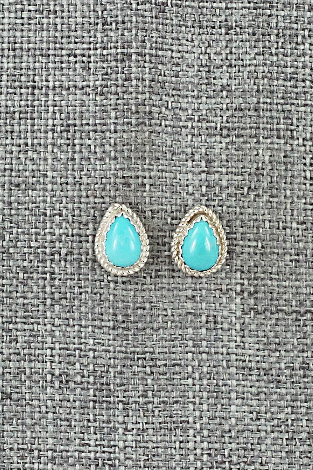 Turquoise and Sterling Silver Earrings - Sally Arviso