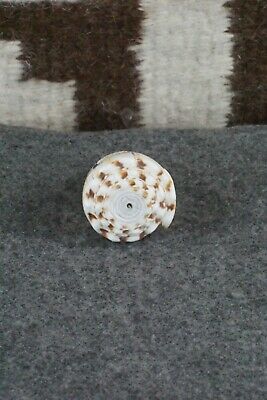 Corn Maiden Zuni Fetish Carving - Kevin Quam