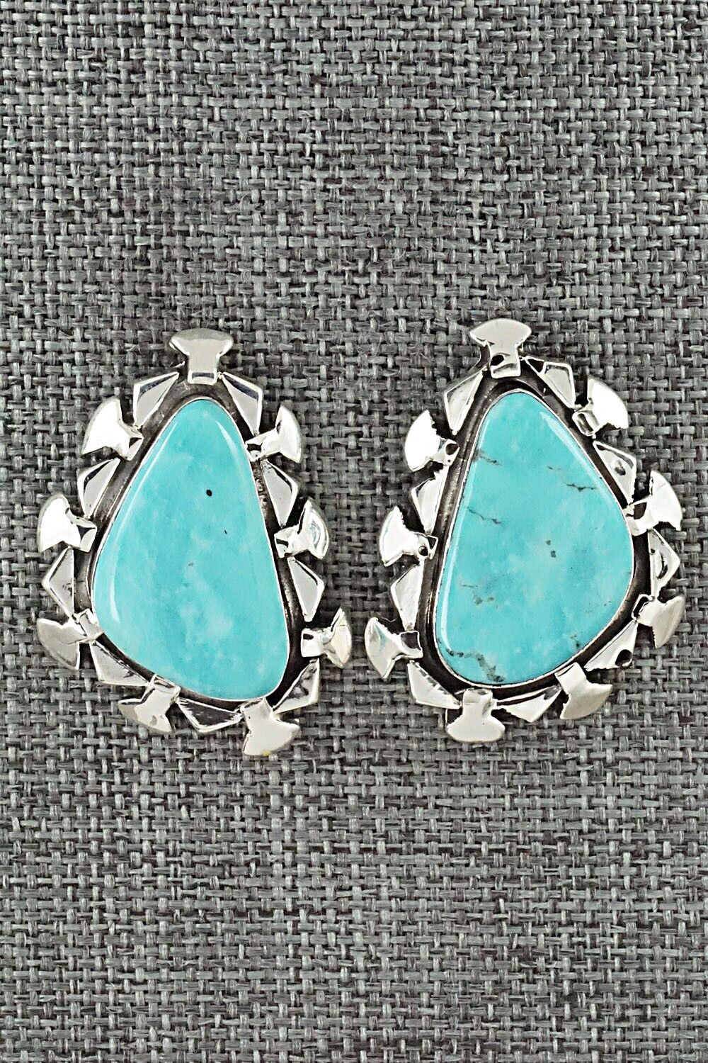 Turquoise and Sterling Silver Earrings - Sharon McCarthy
