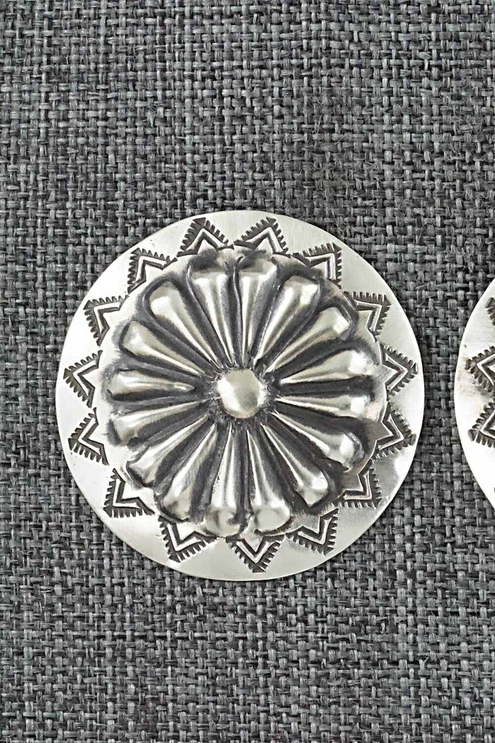 Sterling Silver Earrings - Arlene Soce