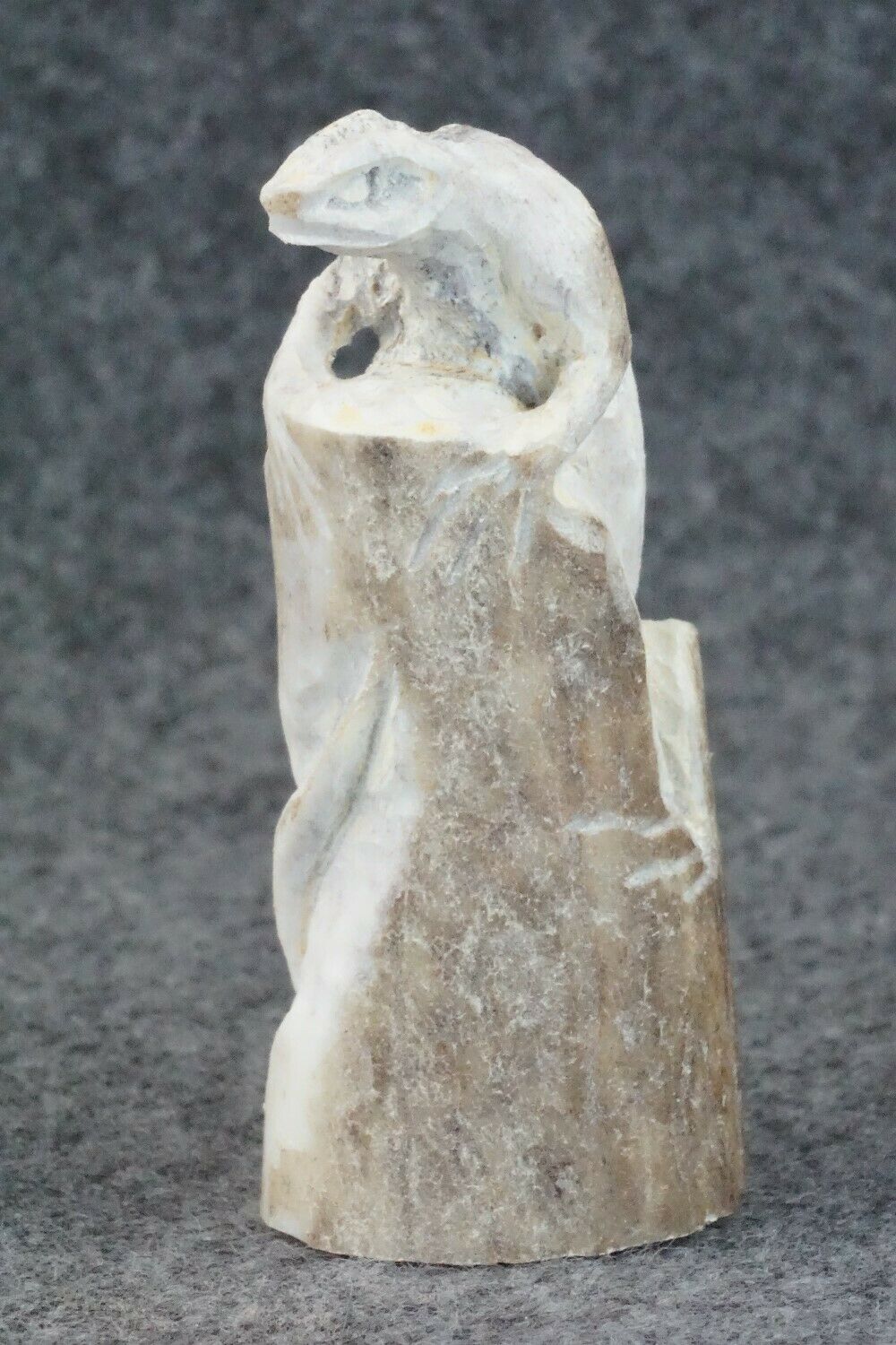 Iguana Zuni Fetish Carving - Lewis Malie Jr.
