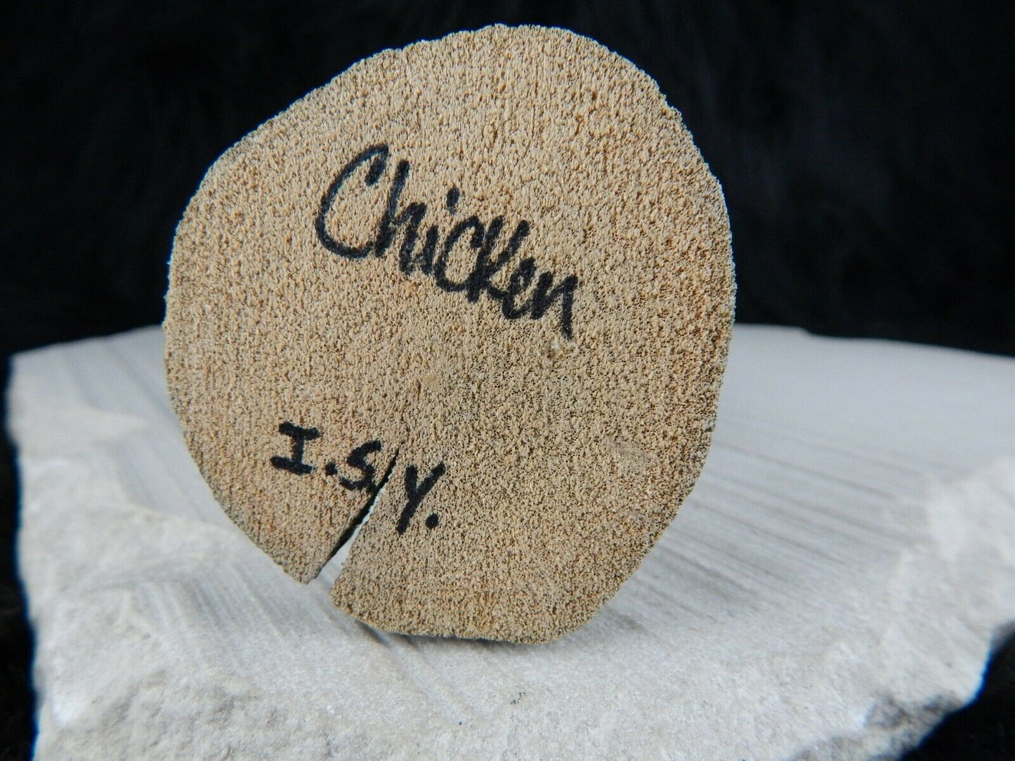 Navajo Chicken Folk Art - I.S. Yaz - Native American - High Lonesome Trading