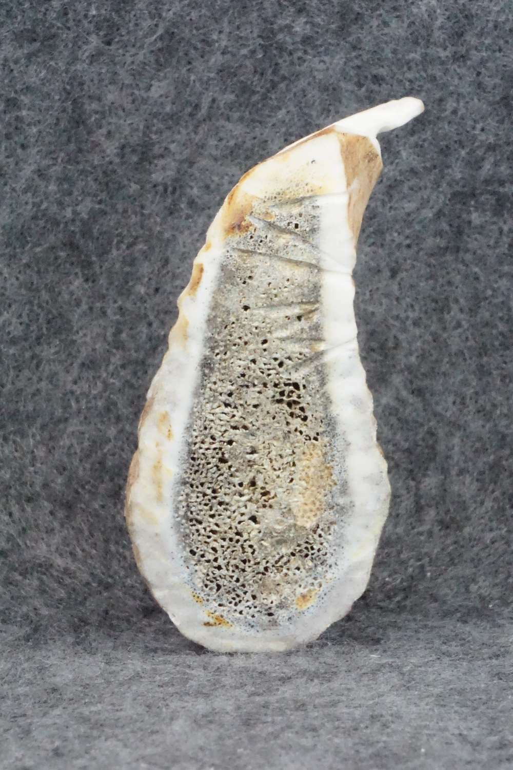 Iguana Zuni Fetish Carving - Lewis Malie Jr.