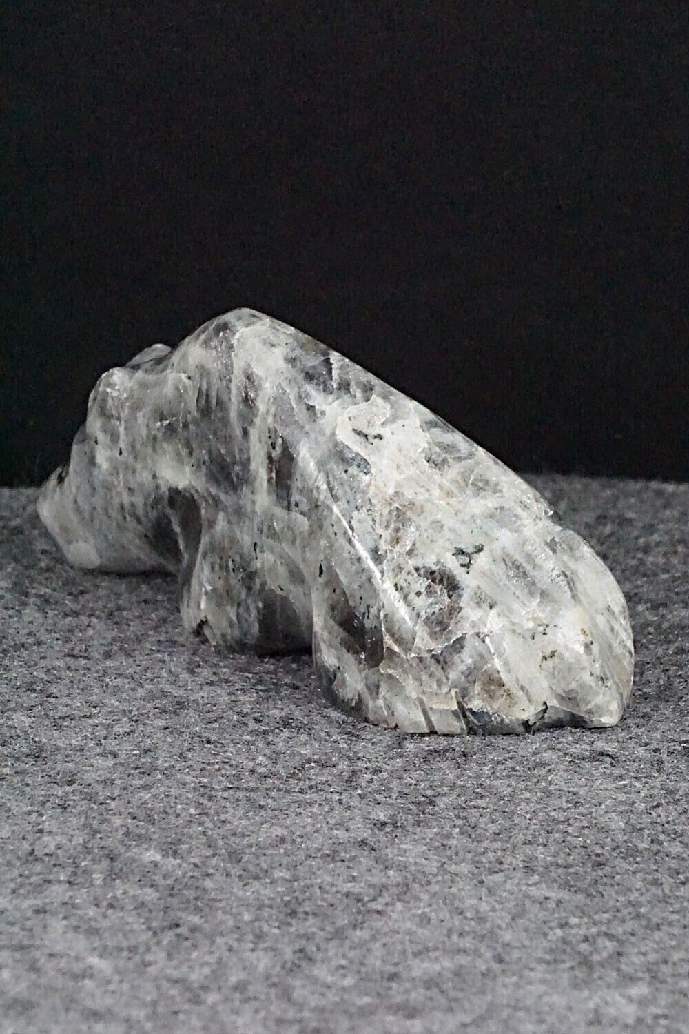 Bear Zuni Fetish Carving - Debra Gasper