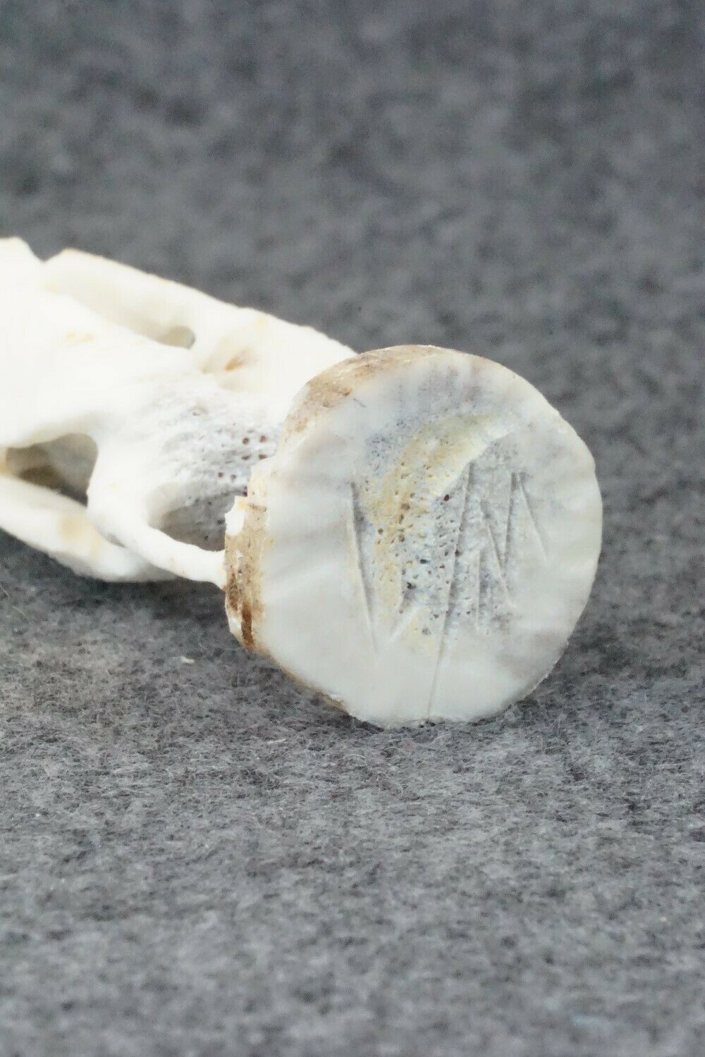 Humming Bird Zuni Fetish Carving - Lewis Malie Jr.