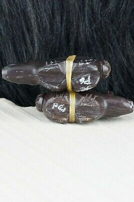 Bear Zuni Fetish Carving - Peter Gasper - High Lonesome Trading