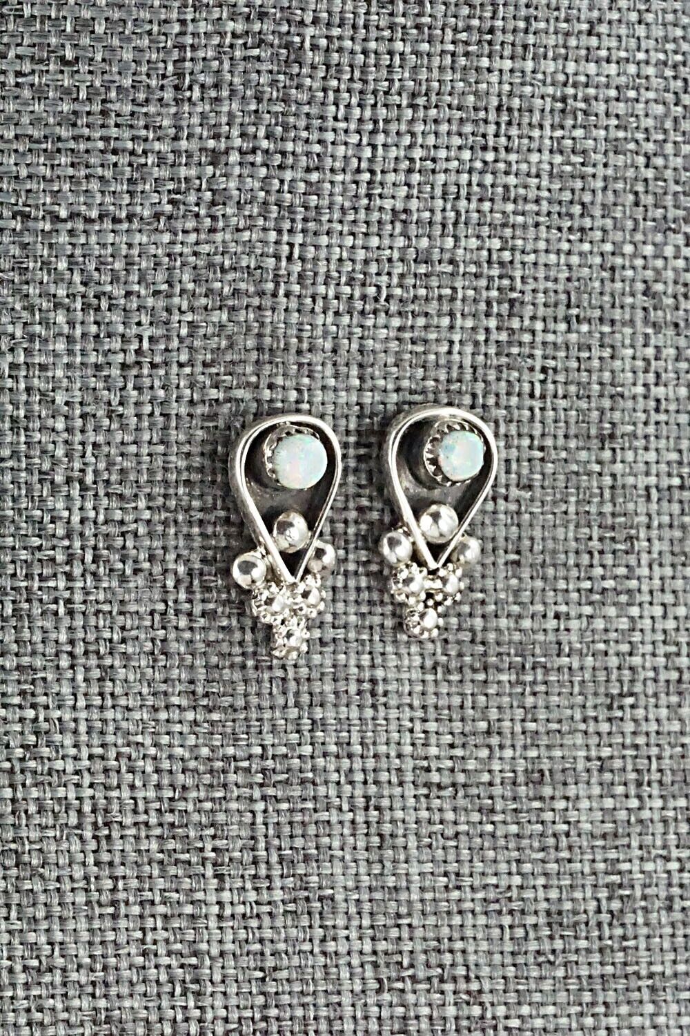 Opalite & Sterling Silver Earrings - Verdie Booqua