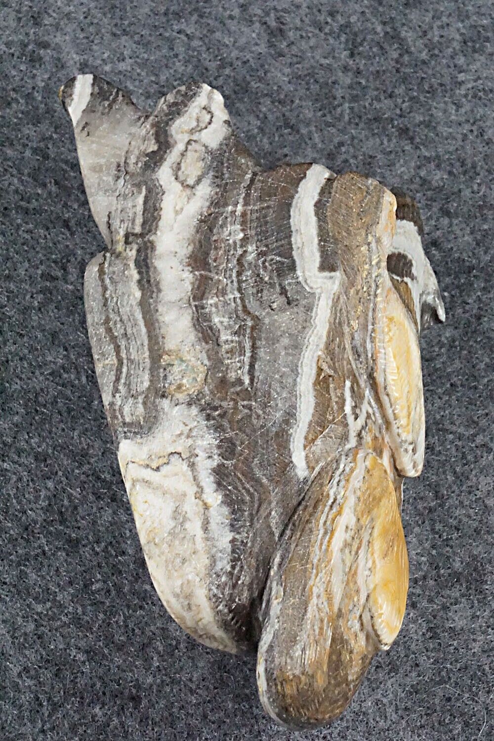Mountain Lion Zuni Fetish Carving - Lance Cheama