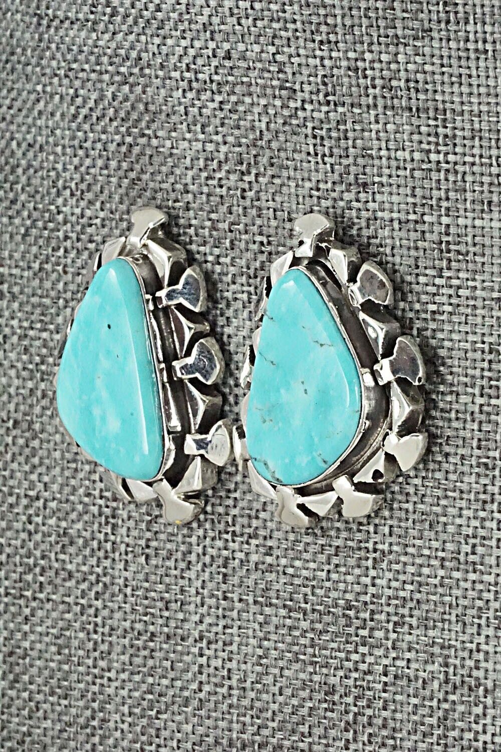 Turquoise and Sterling Silver Earrings - Sharon McCarthy