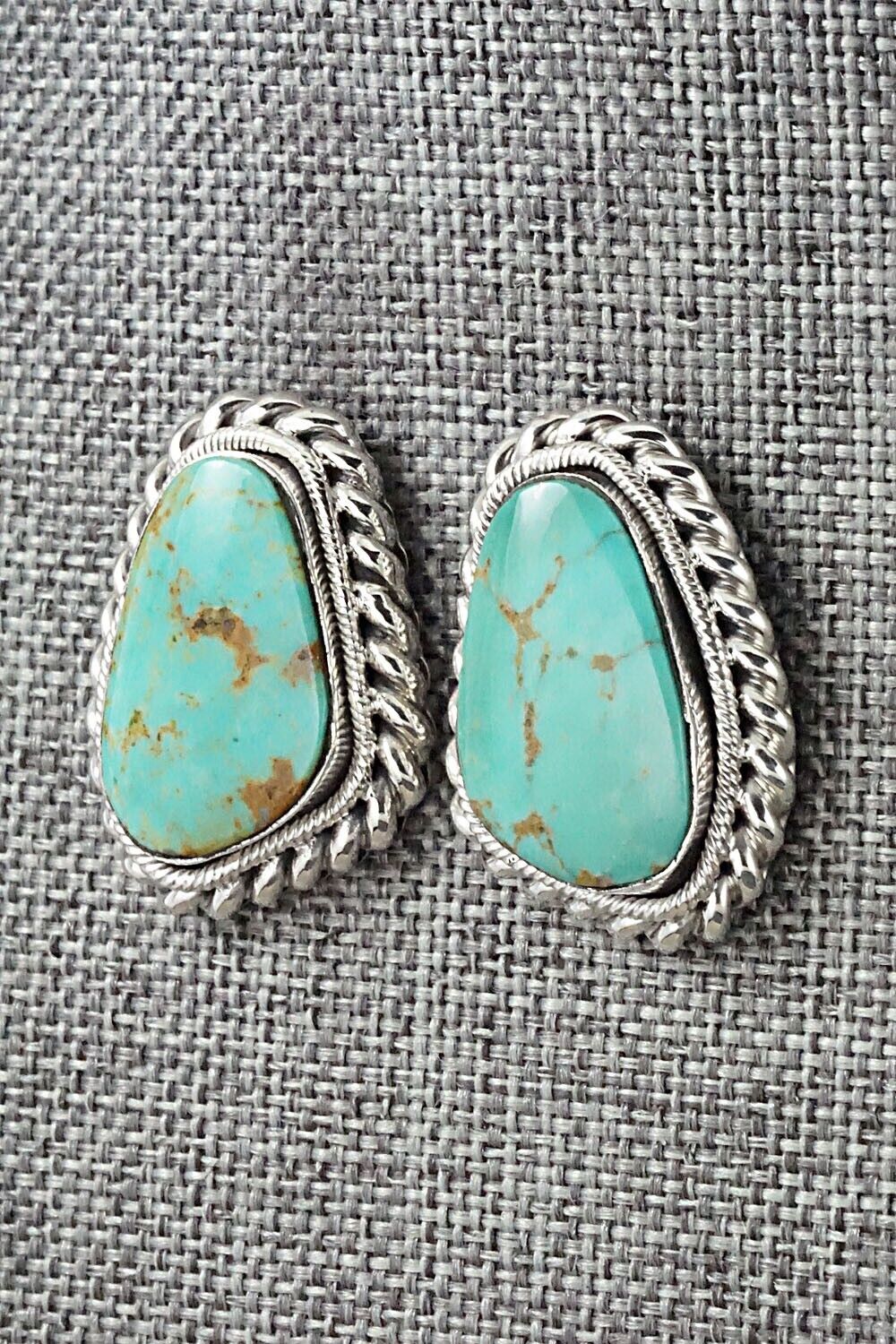 Turquoise and Sterling Silver Earrings - Sharon McCarthy