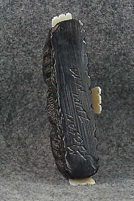 Bald Eagle Zuni Fetish Carving - Mike Tucson