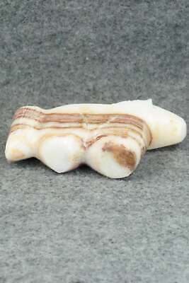 Horse Zuni Fetish Carving - Daphne Quam