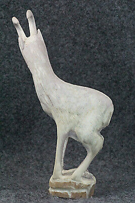 Pronghorn Zuni Fetish Carving - Maxx Laate