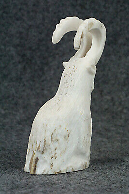 Mountain Goat Zuni Fetish Carving - Maxx Laate