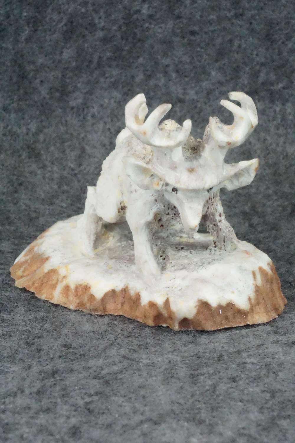 Deer Zuni Fetish Carving - Lewis Malie Jr.