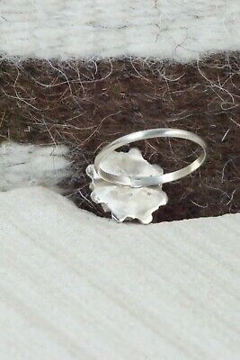 Turquoise & Sterling Silver Ring - David Leekity