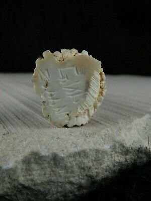 Corn Maiden Zuni Fetish - Garrick Weeka - Zuni Corn Maiden Carving - High Lonesome Trading