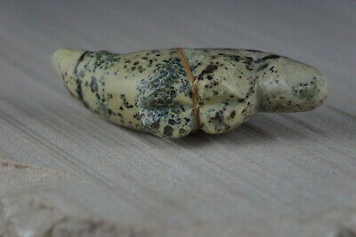 Wolf Zuni Fetish Carving - Delvin Leekya - High Lonesome Trading