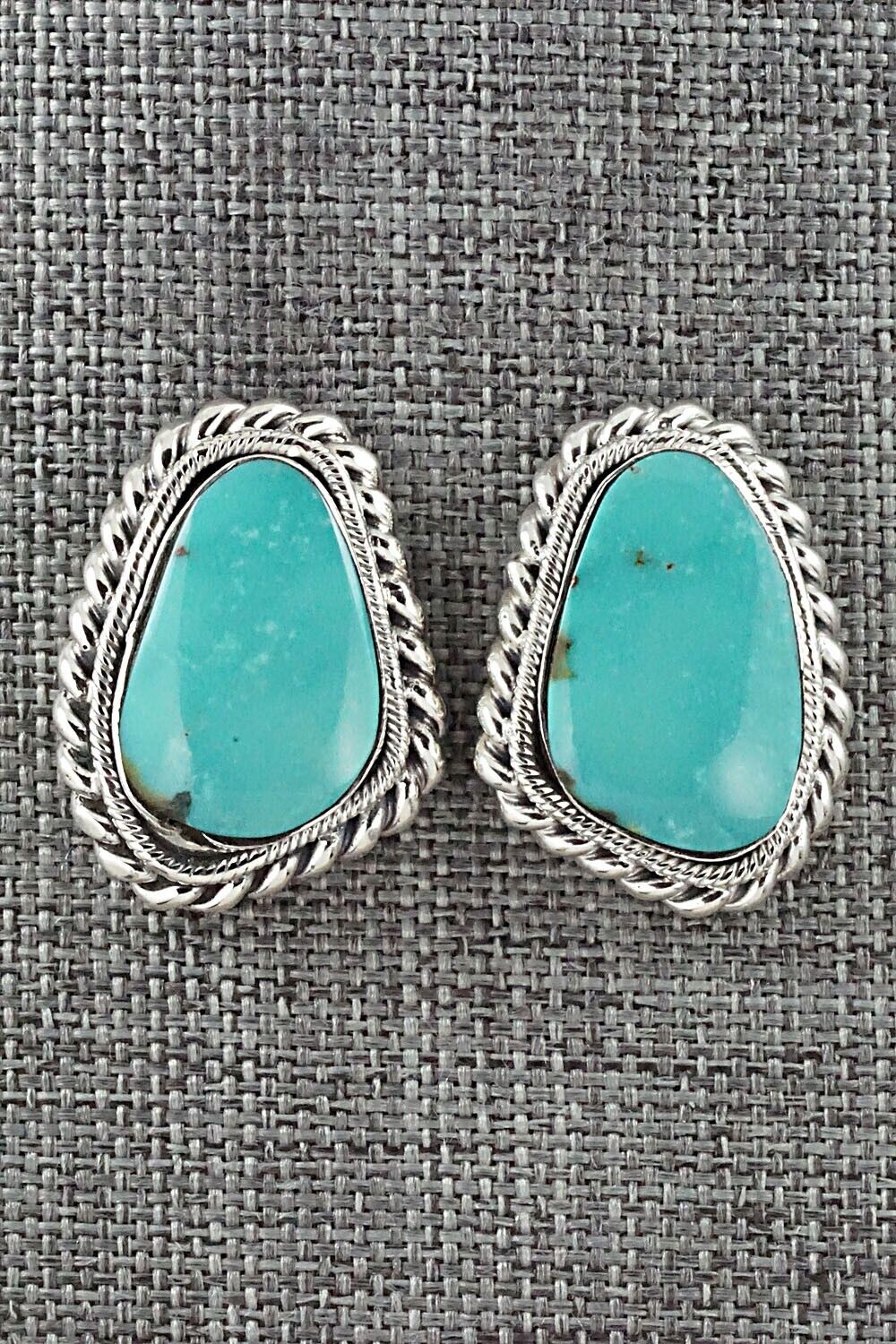 Turquoise and Sterling Silver Earrings - Sharon McCarthy
