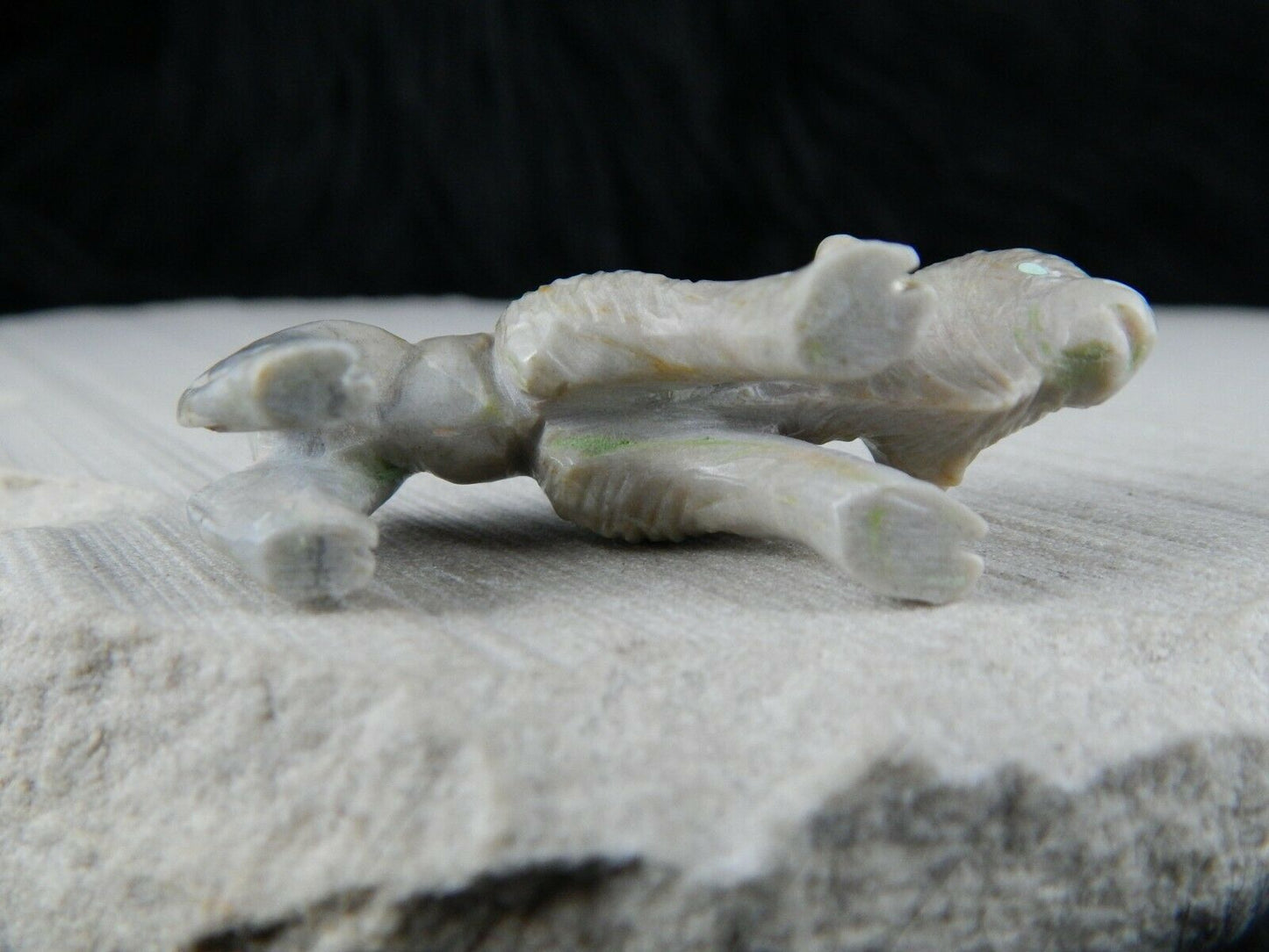 Buffalo Zuni Fetish Carving - Jonas Hastito - High Lonesome Trading