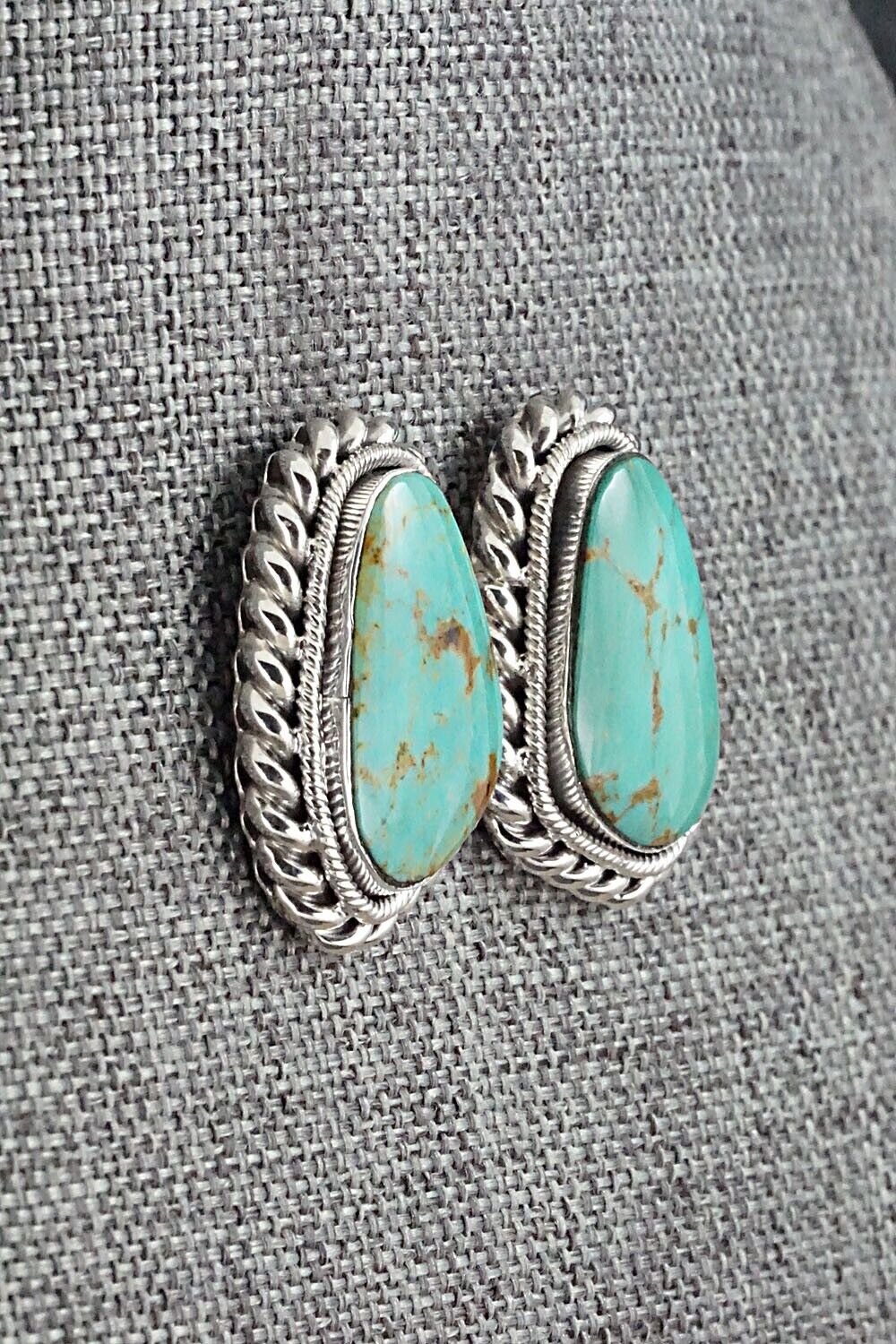 Turquoise and Sterling Silver Earrings - Sharon McCarthy