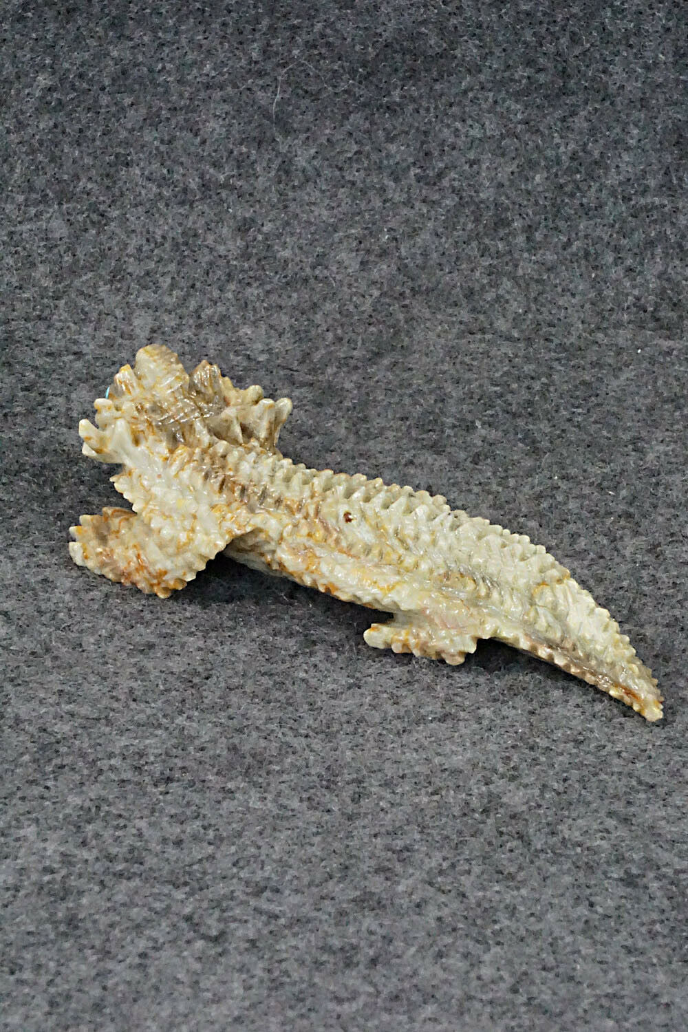 Horned Toad Zuni Fetish Carving - Alvin Haloo