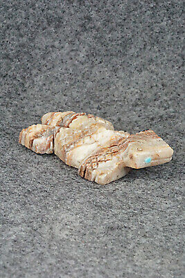 Horned Toad Zuni Fetish Carving - Carl Etsate
