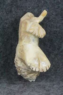 Lion Zuni Fetish Carving - Kevin Quam