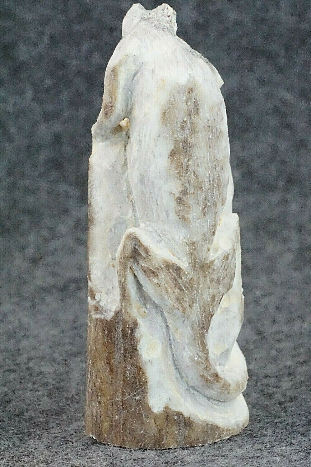 Iguana Zuni Fetish Carving - Lewis Malie Jr.