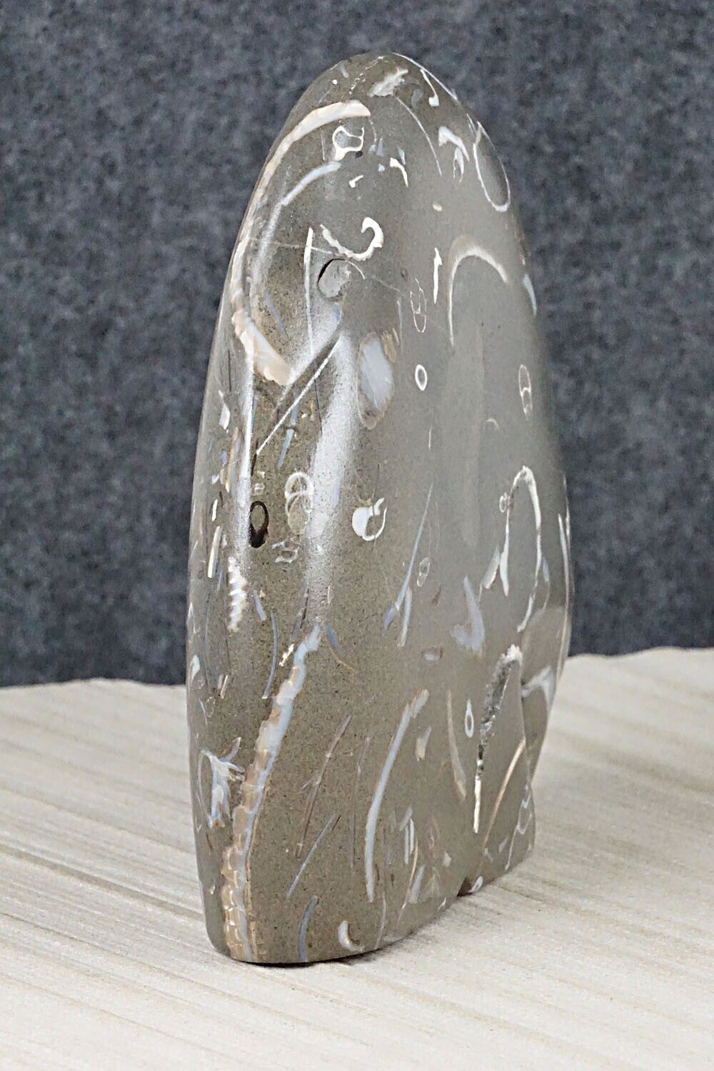 Bear Zuni Fetish Carving - Andres Lementino
