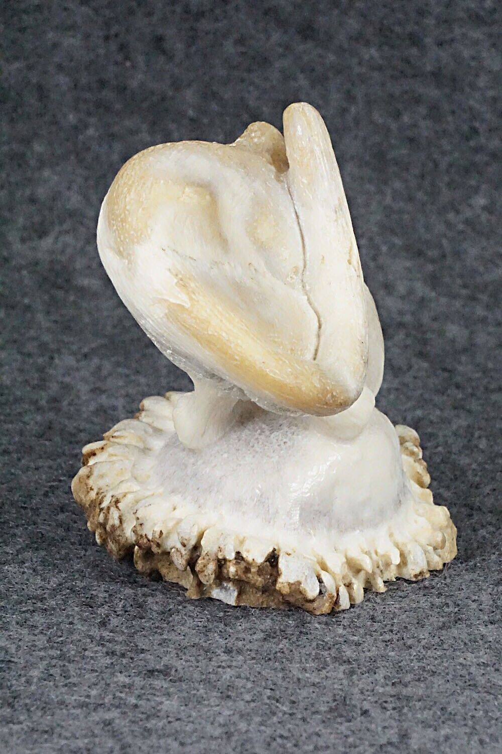 Mountain Lion Zuni Fetish Carving - Maxx Laate