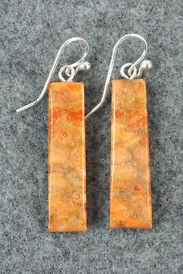 Multi Stone & Sterling Silver Earrings - Ronald Chavez