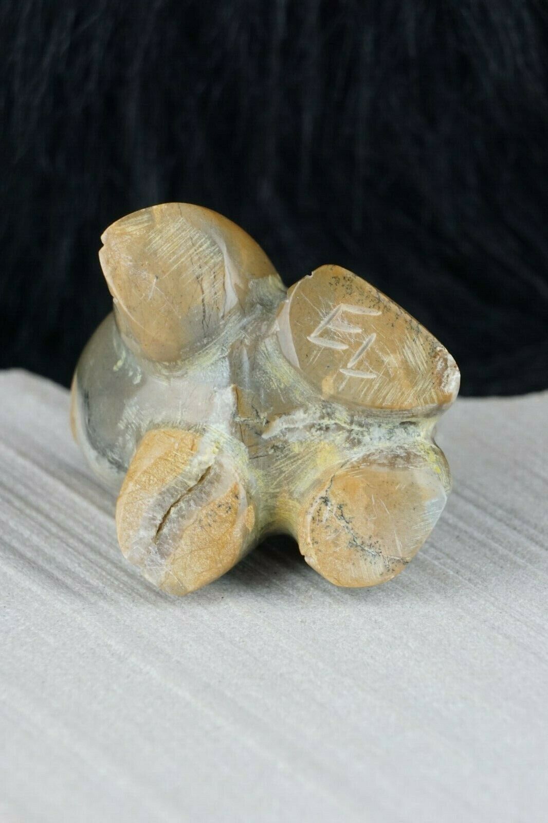 Frog Zuni Fetish Carving - Enrike Leekya - High Lonesome Trading