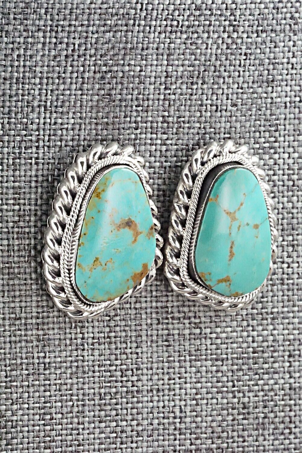 Turquoise and Sterling Silver Earrings - Sharon McCarthy