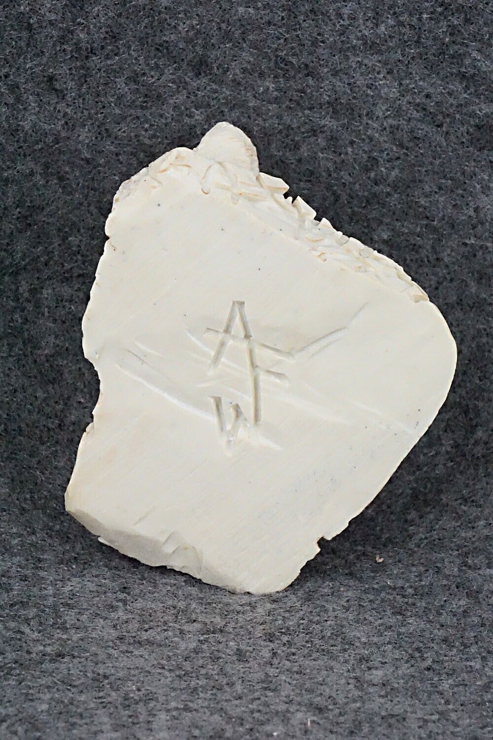 Turtle Zuni Fetish Carving - Adrian Cachini