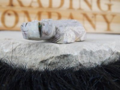 Bear Zuni Fetish Carving - Native American - High Lonesome Trading