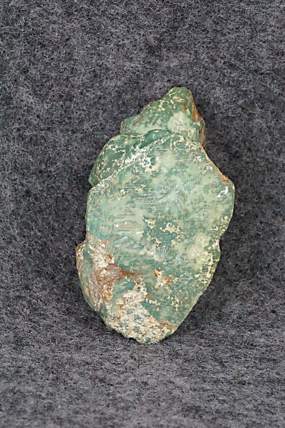 Badger Zuni Fetish - Derrick Kaamasee