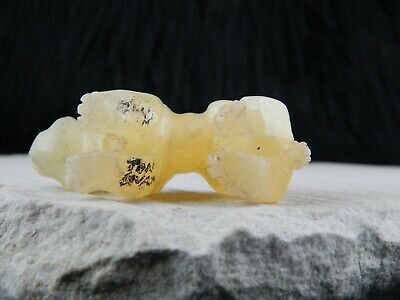 Bear Zuni Fetish Carving - Jon Quam - High Lonesome Trading