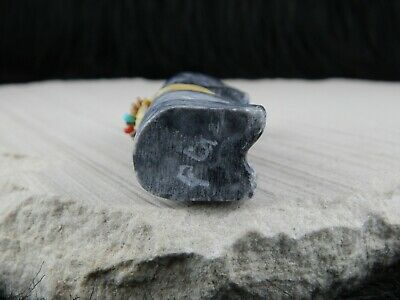 Bear Zuni Fetish Carving - Peter Gasper - High Lonesome Trading