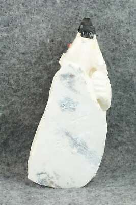 Bear Zuni Fetish Carving - Derrick Kaamasee