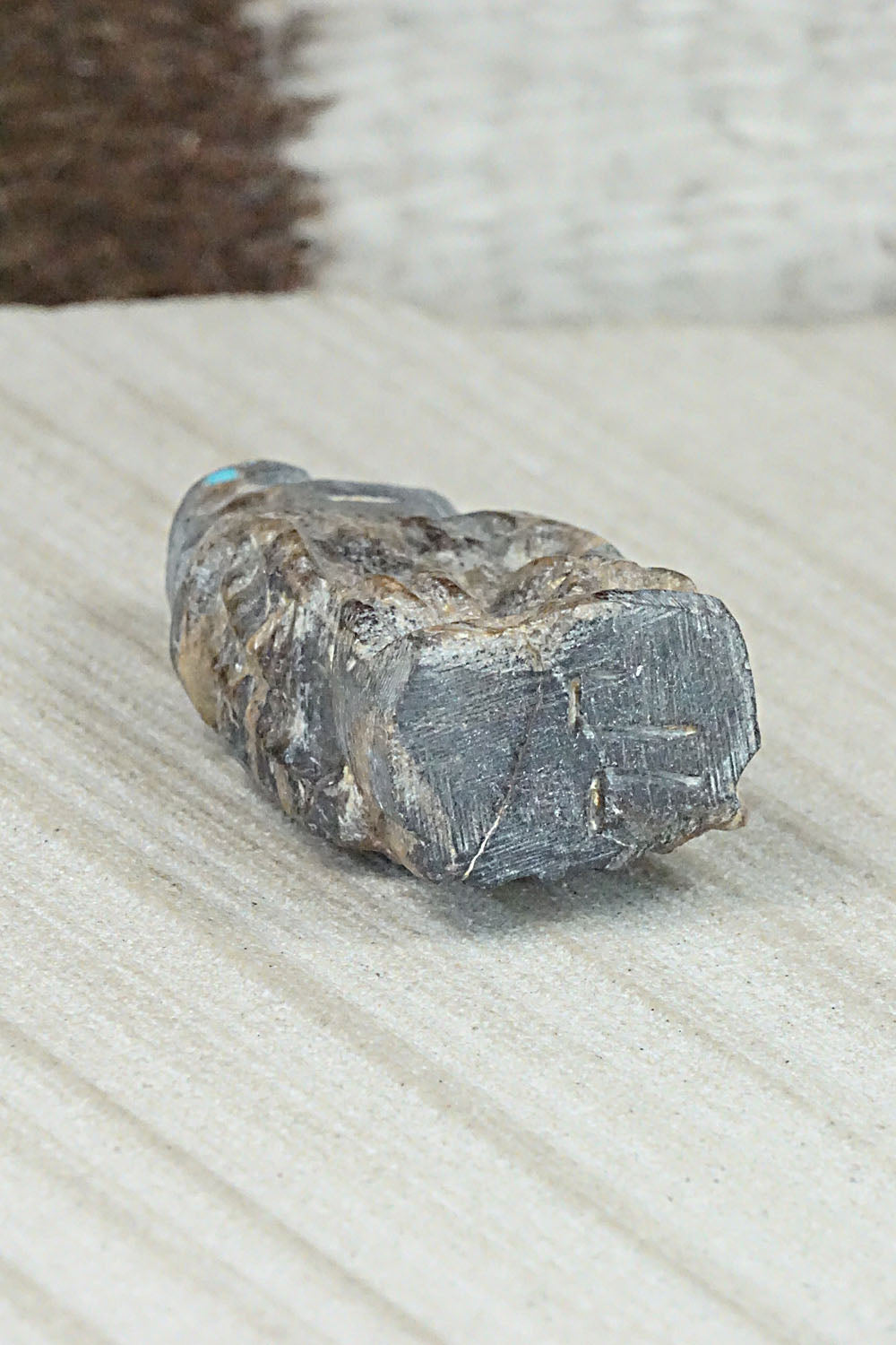 Eagle Zuni Fetish Carving - Jerrold Lahaleon